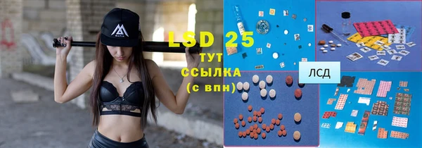 прущие грибы Гусиноозёрск
