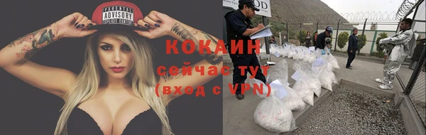 крисы Горно-Алтайск