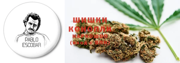 Альфа ПВП Гусев