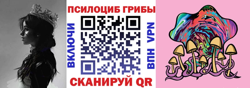 Псилоцибиновые грибы мицелий  Купить где  Николаевск 
