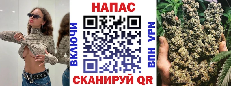 Купить закладки  Николаевск  МАРИХУАНА SATIVA & INDICA 